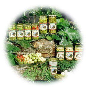 Pickled Green Beans